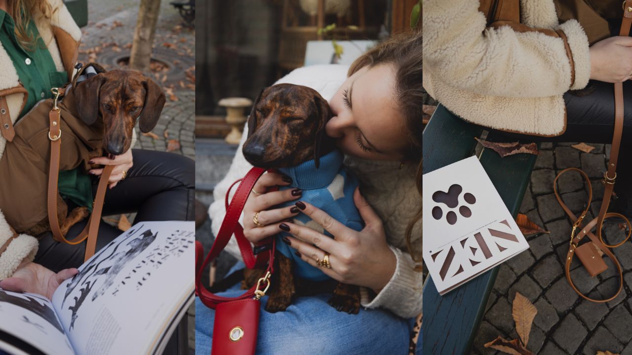 Stylish accessories for dogs