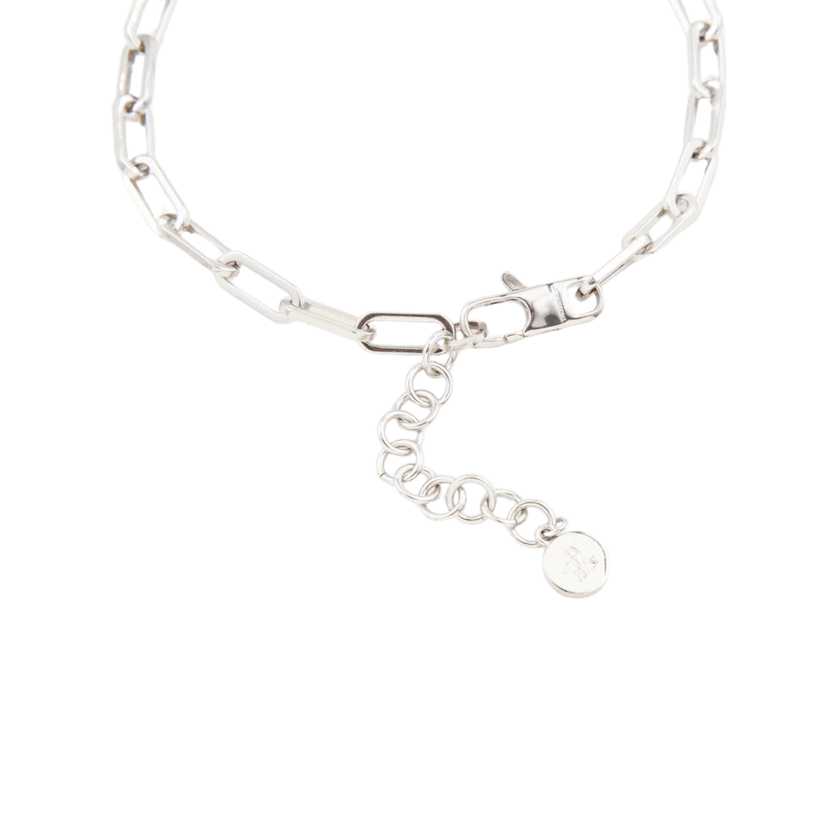 Detail of the silver chain clasp and tag from The Animals necklace. Detail des Verschlusses und Markenanhängers der silbernen Halskette von The Animals. Détail du fermoir et de la médaille de marque du collier argenté The Animals.