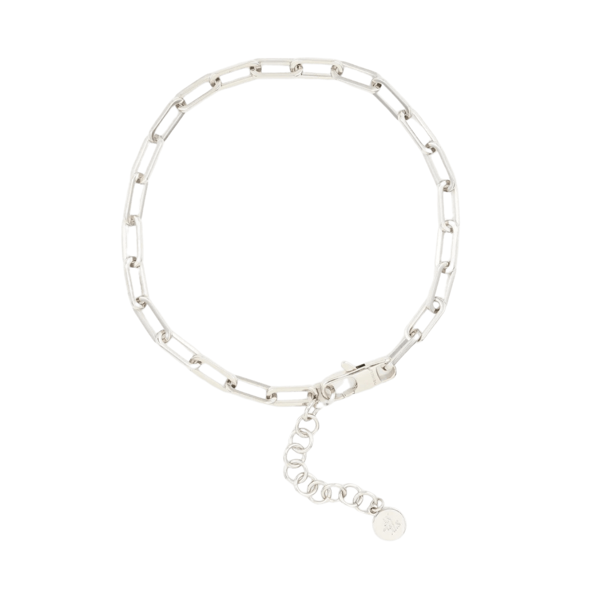 Top-down view of The Animals necklace with silver chain and adjustable clasp. Draufsicht auf die silberne Halskette von The Animals mit verstellbarem Verschluss. Vue de dessus du collier argenté The Animals avec fermoir réglable.
