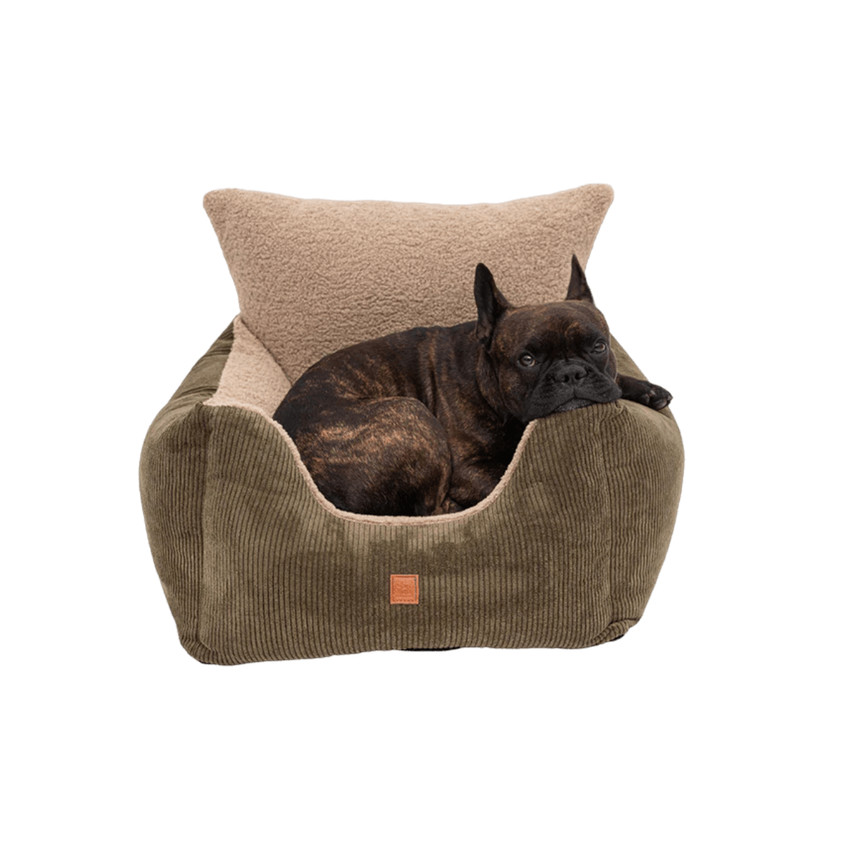 EFrench Bulldog comfortably lounging in the Pet & Co. khaki corduroy dog car seat with a soft beige lining. Französische Bulldogge entspannt im khakifarbenen Hundesitz aus Cord von Pet & Co. mit weichem beigem Innenfutter. Bouledogue français confortablement installé dans le siège auto pour chien en velours côtelé kaki de Pet & Co., avec doublure beige douce.