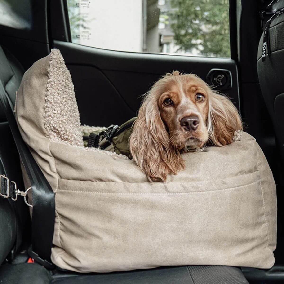 Close-up of a brown spaniel in a Pet & Co. beige dog car seat, secured with a seatbelt for safe travels. Nahaufnahme eines braunen Spaniels in einem beigen Pet & Co. Autositz für Hunde, mit einem Sicherheitsgurt befestigt. Gros plan d’un cocker brun dans un siège auto beige pour chien de Pet & Co., attaché avec une ceinture de sécurité.