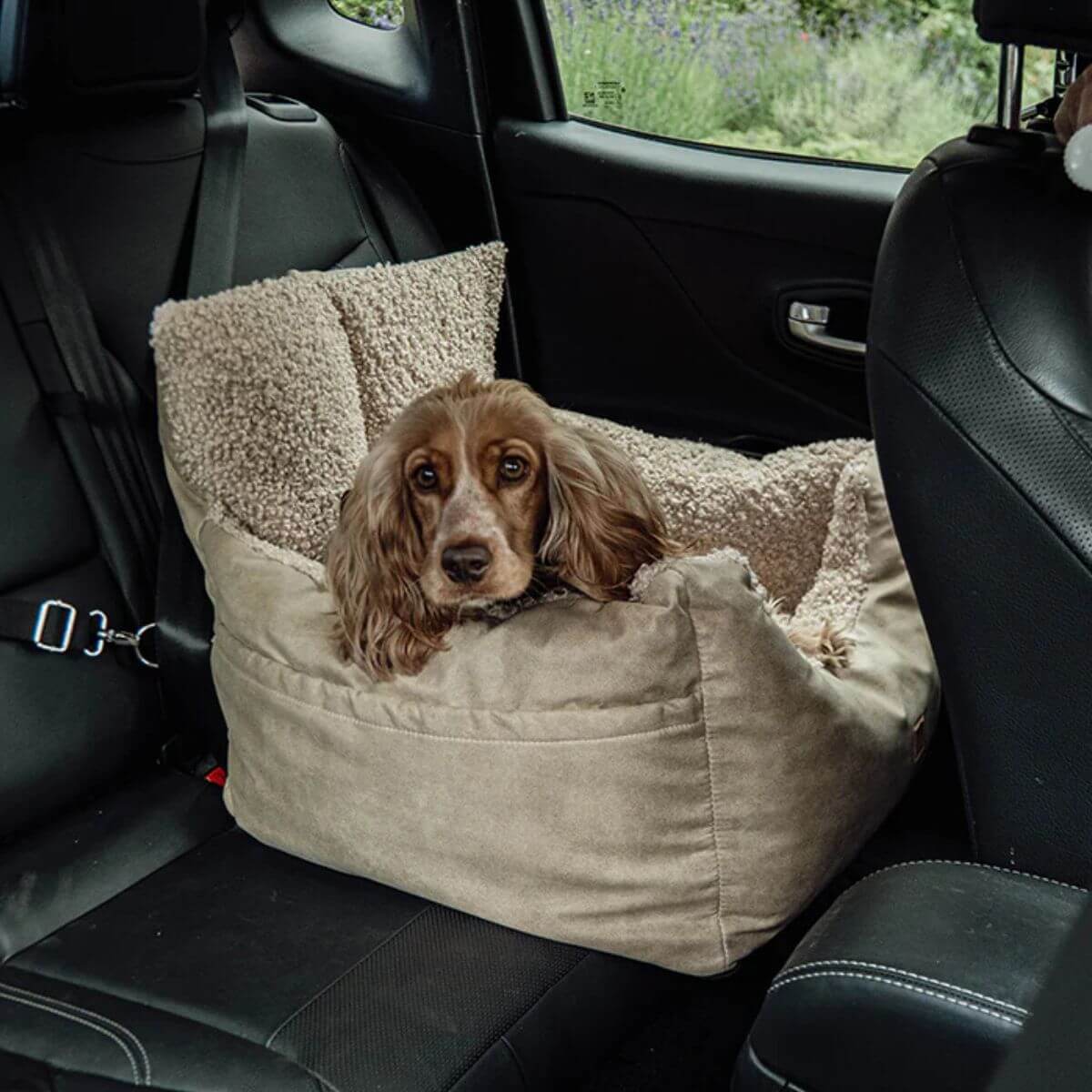 Small brown dog sitting in a beige Pet & Co. dog car seat on a backseat, designed for car safety and comfort. Kleiner brauner Hund sitzt in einem beigen Pet & Co. Autositz für Hunde auf dem Rücksitz – ideal für Sicherheit und Komfort im Auto. Petit chien brun assis dans un siège auto beige pour chien de Pet & Co. sur une banquette arrière – conçu pour la sécurité et le confort en voiture.