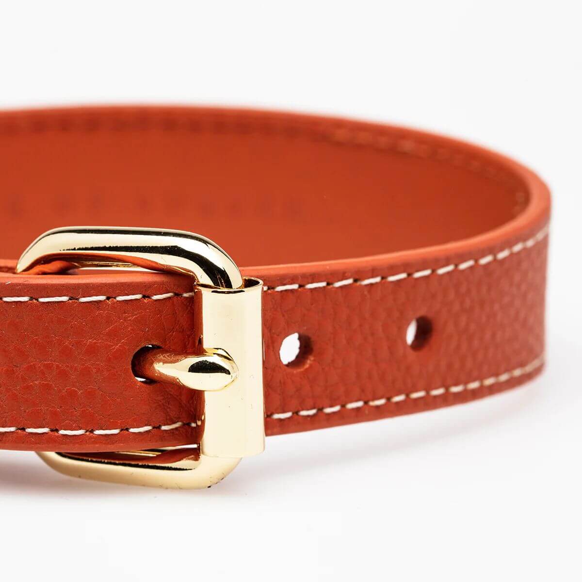 Close-up of the cognac vegan leather dog collar by Collar of Sweden showing gold buckle and fine stitching – Gros plan sur le collier en cuir végan couleur cognac de Collar of Sweden avec boucle dorée et couture raffinée – Nahaufnahme des Hundehalsbands aus veganem Leder in Cognac von Collar of Sweden mit goldener Schnalle und feiner Naht.