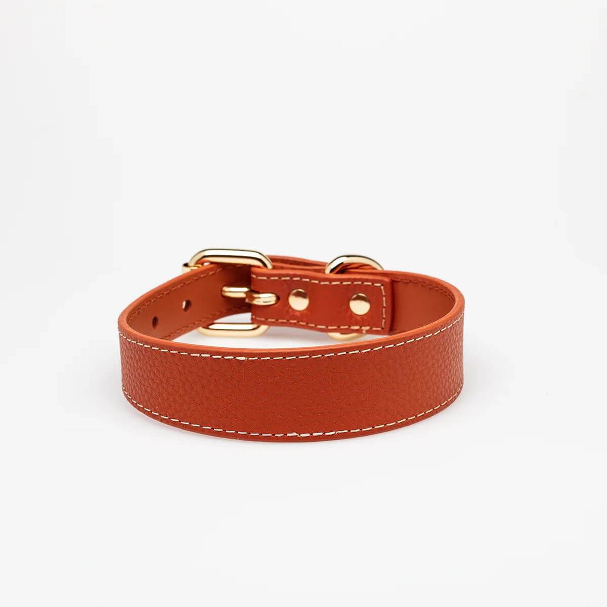 Angled view of the cognac vegan leather dog collar by Collar of Sweden with gold buckle and white stitching – Vue en angle du collier en cuir végan couleur cognac de Collar of Sweden avec boucle dorée et surpiqûres blanches – Schräge Ansicht des Hundehalsbands aus veganem Leder in Cognac von Collar of Sweden mit goldener Schnalle und weißer Naht.