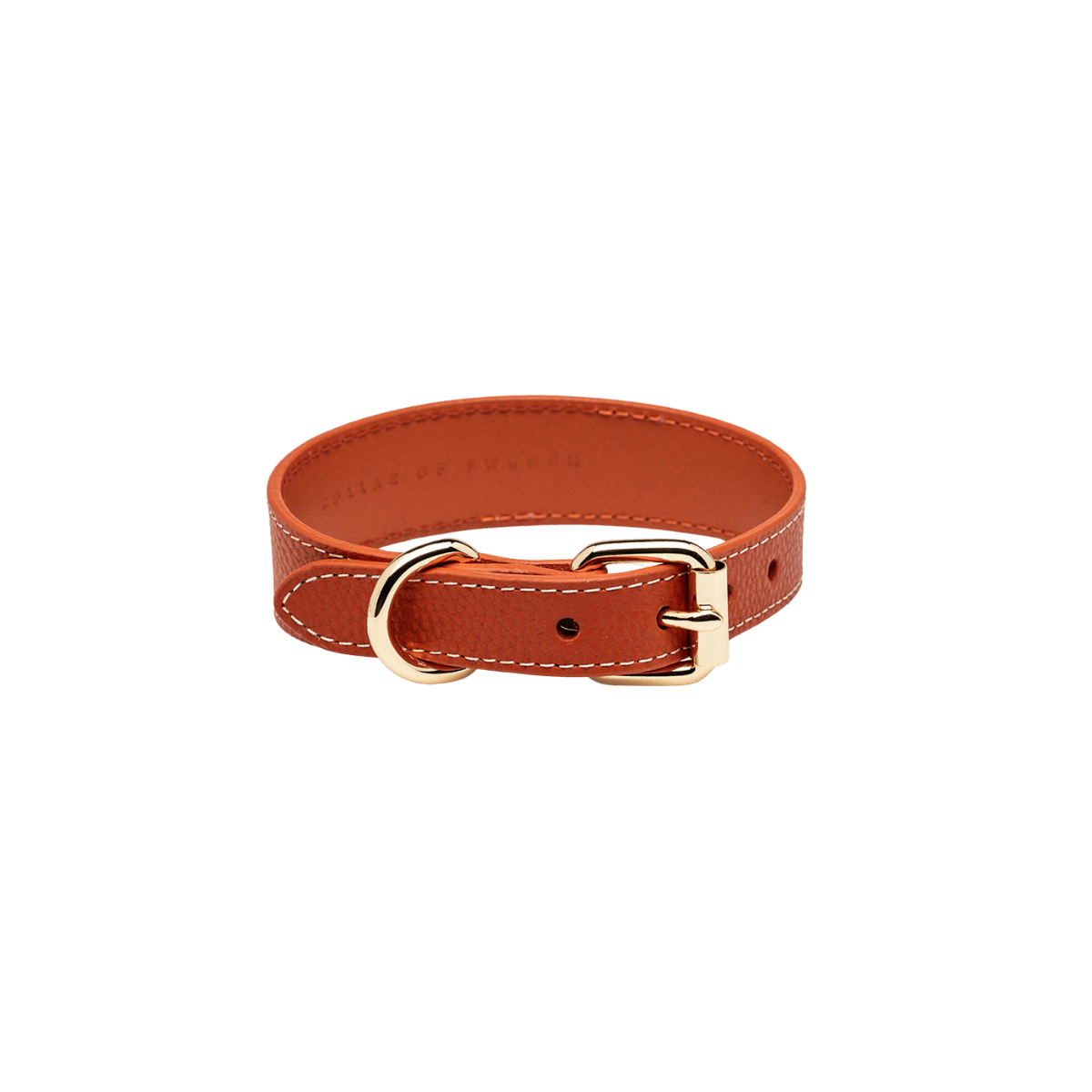 Flat lay of cognac vegan leather dog collar with gold hardware by Collar of Sweden – Vue de dessus du collier pour chien en cuir végan couleur cognac avec boucle dorée, signé Collar of Sweden – Draufsicht des Hundehalsbands aus veganem Leder in Cognac mit goldener Schnalle von Collar of Sweden.