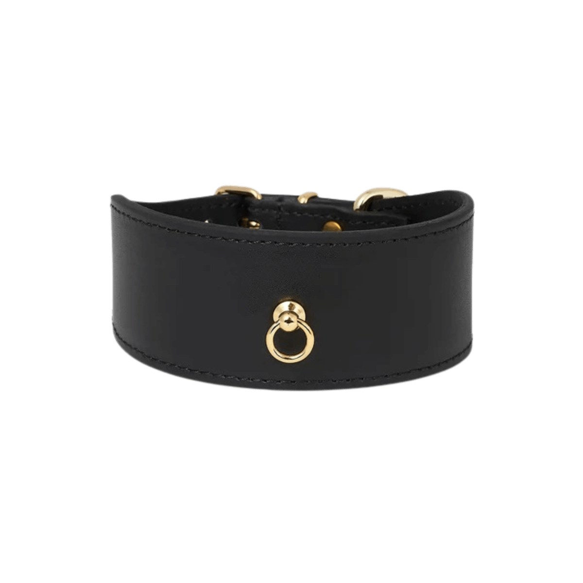 Isolated Branni Pets black leather dog collar with gold ring, specially designed for Greyhounds or dogs with delicate necks. Isoliertes schwarzes Lederhalsband von Branni Pets mit goldenem Ring – entwickelt für Windhunde oder Hunde mit empfindlichem Hals. Collier Branni Pets en cuir noir avec anneau doré, conçu pour les lévriers ou les chiens au cou sensible.