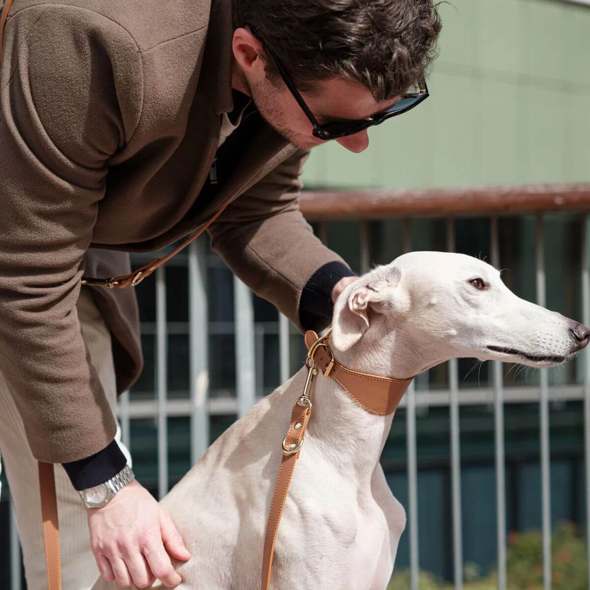 Man with sunglasses petting a white greyhound wearing the Branni Pets tan leather collar and matching leash.
Mann mit Sonnenbrille streichelt einen weißen Windhund, der das cognacfarbene Halsband und die passende Leine von Branni Pets trägt.
Homme avec des lunettes de soleil caressant un lévrier blanc portant le collier et la laisse camel de Branni Pets.