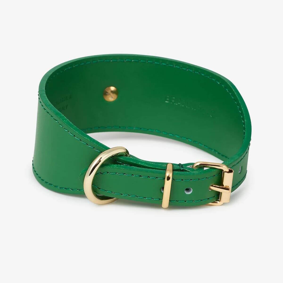 Green Branni Pets leather dog collar laid flat, showing high-quality gold buckle and D-ring, handcrafted in Italy for greyhounds and dogs with sensitive necks – Grünes Branni Pets Halsband flach liegend mit goldener Schnalle und D-Ring, handgefertigt in Italien für Windhunde – Collier vert Branni Pets à plat avec boucle dorée et anneau en D, fait main en Italie pour lévriers et chiens sensibles.