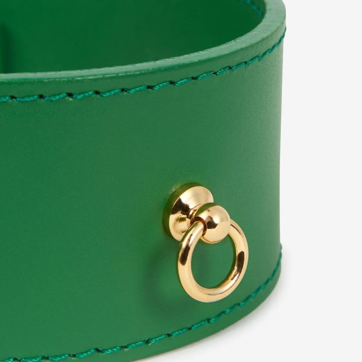 Close-up of green Branni Pets leather dog collar with gold ring, handcrafted in Italy, designed for greyhounds or dogs with delicate necks – Nahaufnahme des grünen Branni Pets Lederhalsbands mit goldenem Ring, handgefertigt in Italien für Windhunde oder sensible Hunde – Gros plan sur le collier pour chien en cuir vert Branni Pets avec anneau doré, fait main en Italie pour lévriers ou chiens sensibles.
