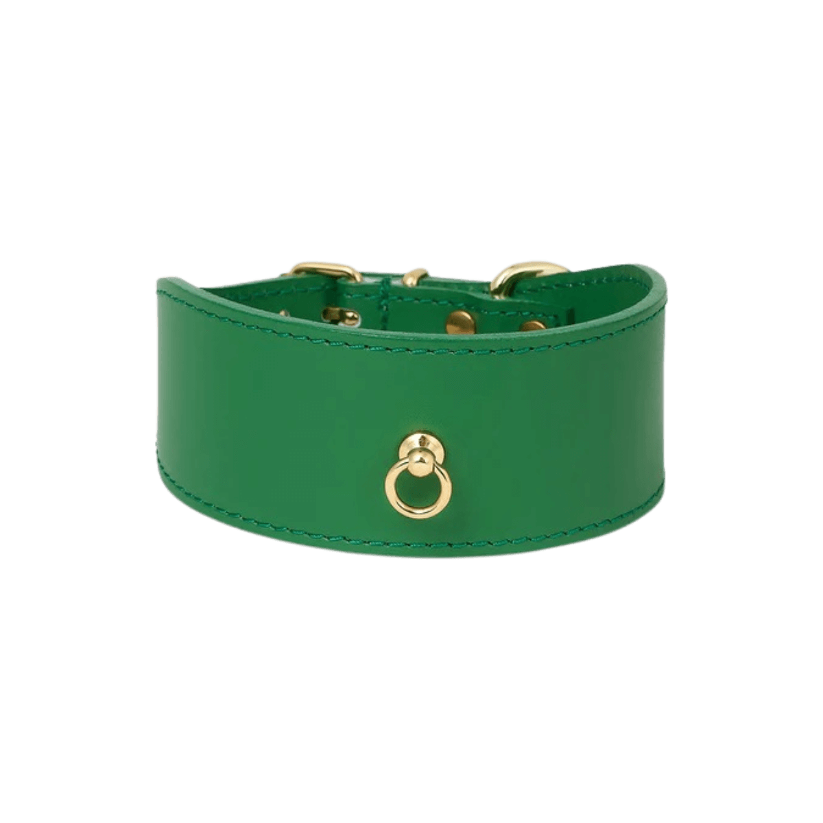 Studio cut-out of green Branni Pets leather dog collar with gold ring, stylish and protective for sighthounds – Freigestelltes Bild des grünen Branni Pets Halsbands mit goldenem Ring, elegant und schützend für Windhunde – Collier vert Branni Pets en packshot avec anneau doré, élégant et protecteur pour les lévriers.