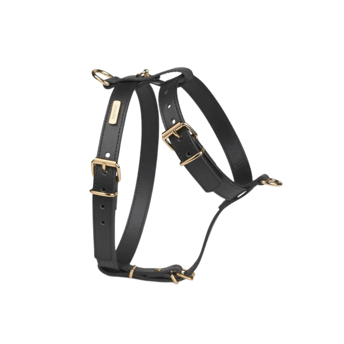 Branni Pets black leather dog harness with adjustable gold buckles, elegant and functional design | Schwarzes Branni Pets Hundegeschirr aus Leder mit verstellbaren goldenen Schnallen – elegant und funktional | Harnais noir en cuir pour chien Branni Pets avec boucles dorées réglables – design chic et pratique