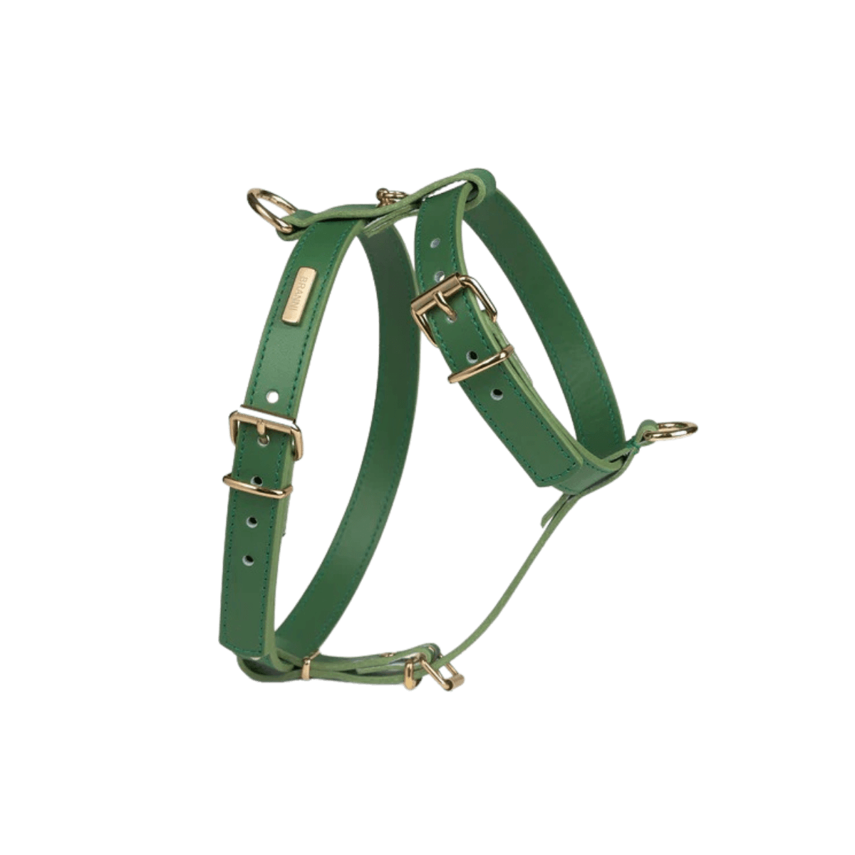 Branni Pets green leather dog harness with adjustable straps and golden hardware. Premium design for comfort and fit. — Branni Pets Hundegeschirr aus grünem Leder mit verstellbaren Riemen und goldener Schnalle. — Harnais pour chien en cuir vert Branni Pets avec sangles ajustables et détails dorés.