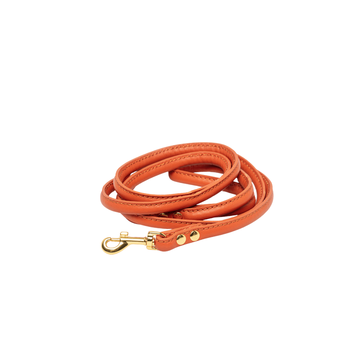 Cognac vegan leather dog leash with gold hardware by Collar of Sweden – Laisse pour chien en cuir végan couleur cognac avec quincaillerie dorée, signée Collar of Sweden – Hundeleine aus veganem Leder in Cognac mit goldener Beschläge von Collar of Sweden.