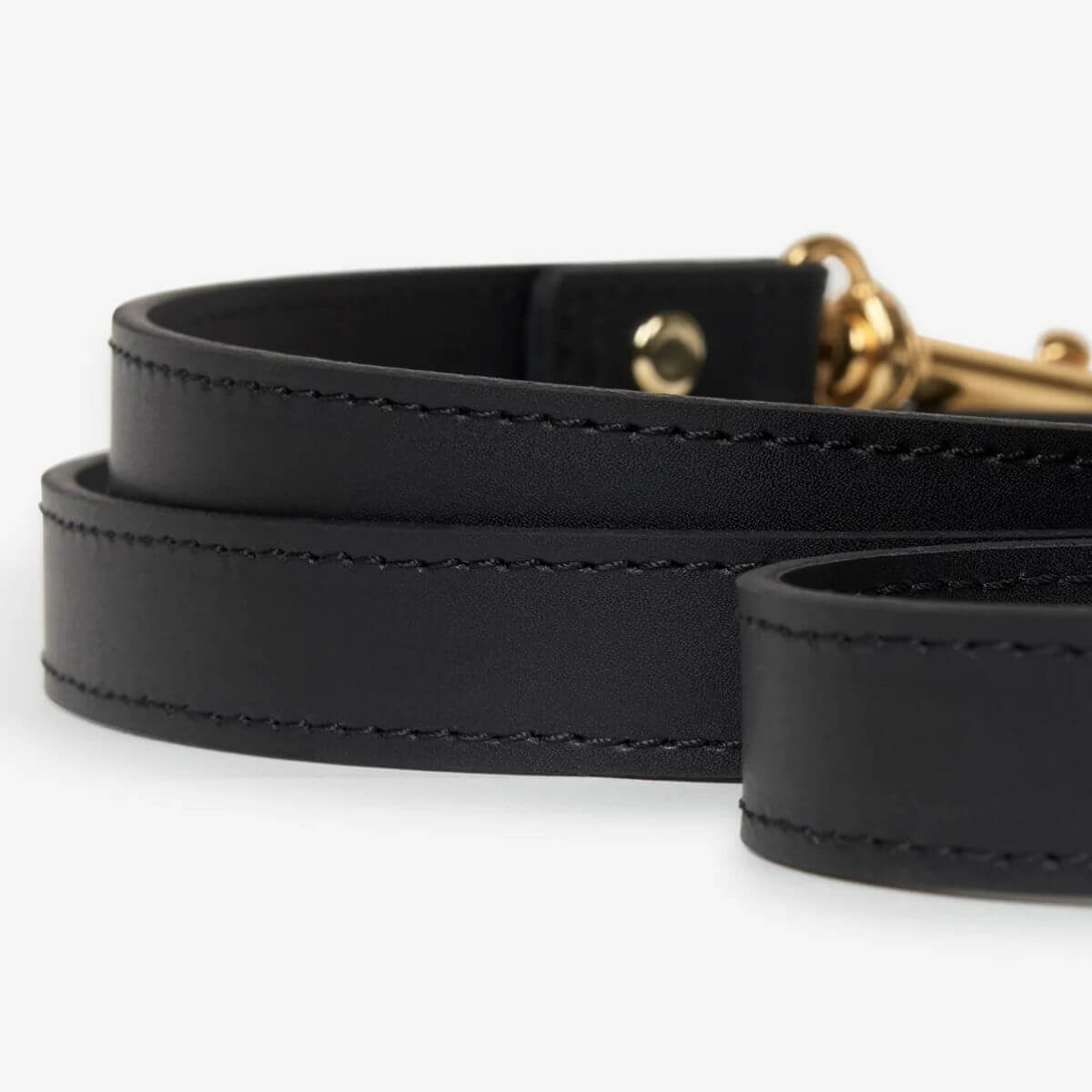 Elegant close-up of the black Branni Pets dog leash with gold hardware, showcasing fine stitching and premium vegan leather material. Elegante Nahaufnahme der schwarzen Branni Pets Hundeleine mit goldener Hardware, die feine Nähte und hochwertiges veganes Leder zeigt. Gros plan élégant de la laisse noire pour chien Branni Pets avec une quincaillerie dorée, mettant en valeur les coutures fines et le cuir végan de qualité.
