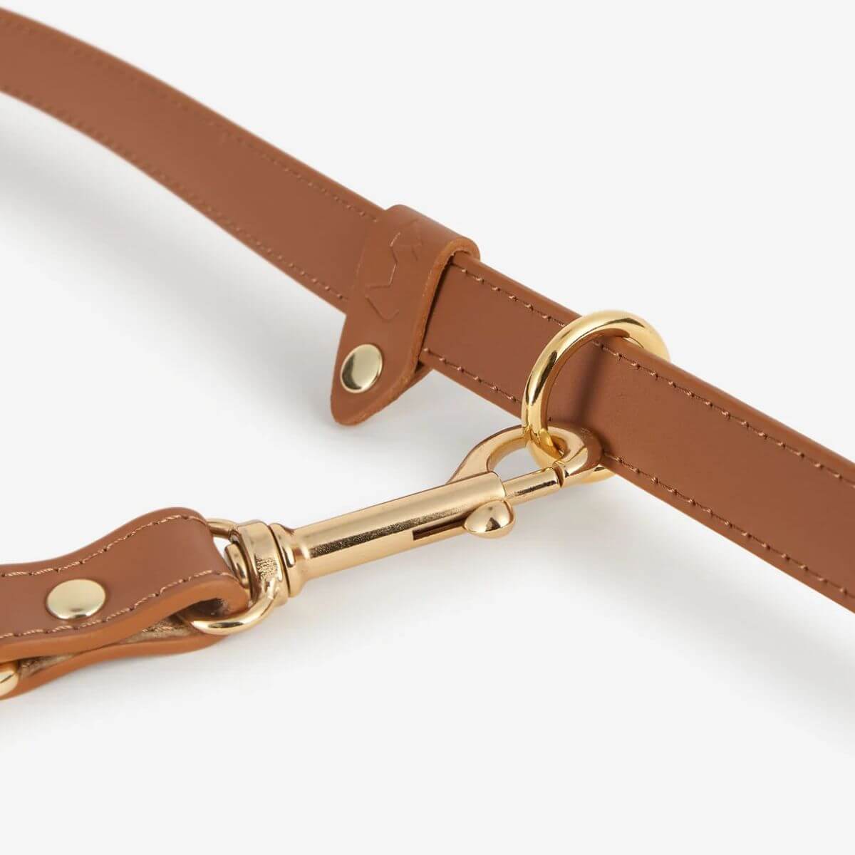 Close-up of the caramel brown Branni Pets dog leash featuring premium vegan leather and gold hardware. Nahaufnahme der karamellbraunen Hundeleine von Branni Pets mit hochwertigem veganem Leder und goldener Beschlägung. Gros plan sur la laisse pour chien Branni Pets en cuir végétalien caramel avec des finitions dorées haut de gamme.