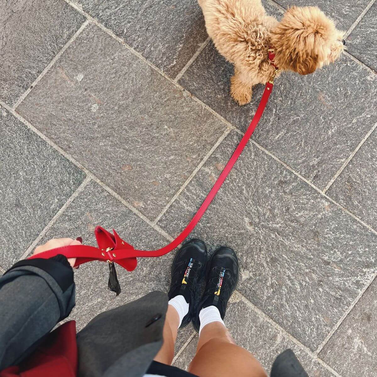 Bird's-eye view of a Branni Pets red leather leash on walk with small dog | Vogelperspektive auf rote Lederleine von Branni Pets beim Spaziergang mit kleinem Hund | Vue de dessus d'une laisse rouge en cuir Branni Pets lors d'une promenade avec un petit chien