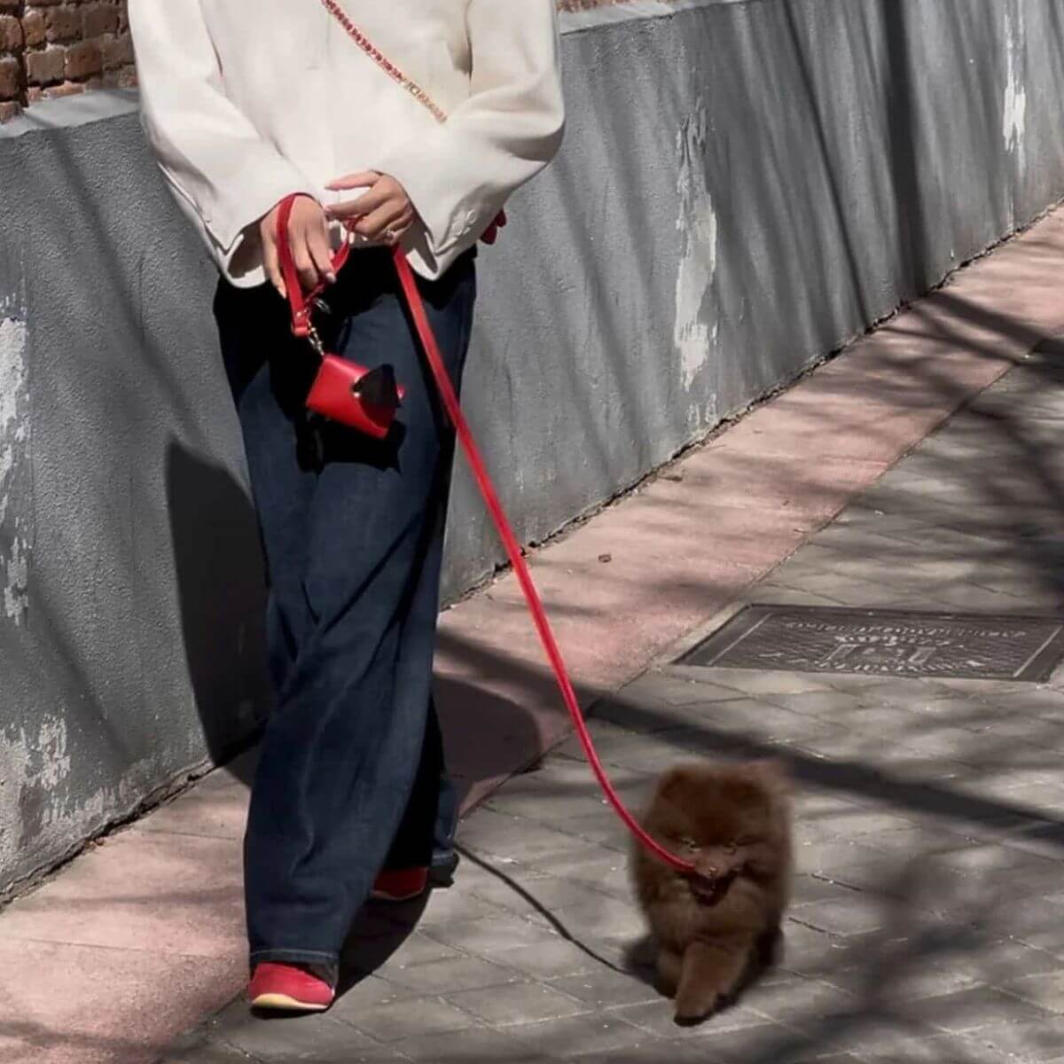 Walking a small dog with the red leather leash by Branni Pets | Spaziergang mit einem kleinen Hund an der roten Lederleine von Branni Pets | Promenade avec un petit chien en laisse rouge en cuir signée Branni Pets