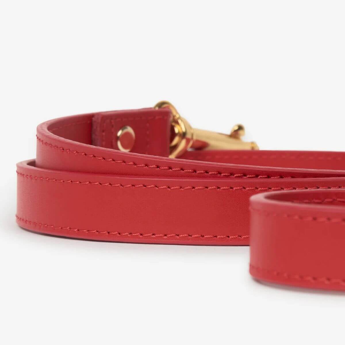 Detail of Branni Pets red leather leash with premium stitching | Detailansicht der roten Lederleine von Branni Pets mit feiner Naht | Gros plan sur la laisse rouge Branni Pets avec coutures soignées
