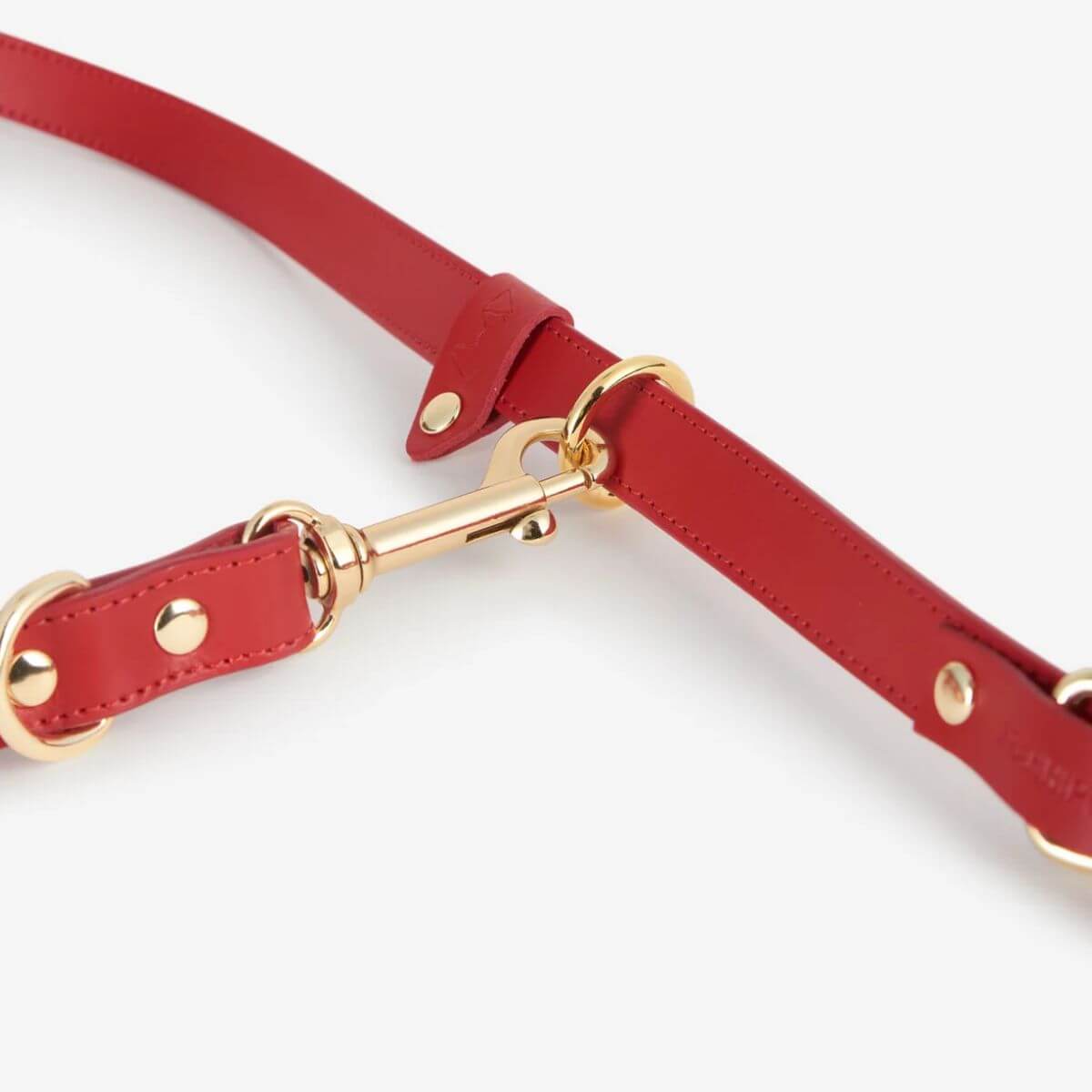 Elegant red leather dog leash from Branni Pets with gold hardware clip | Elegante rote Hundeleine aus Leder von Branni Pets mit goldener Schnalle | Laisse pour chien rouge élégante en cuir de Branni Pets avec mousqueton doré