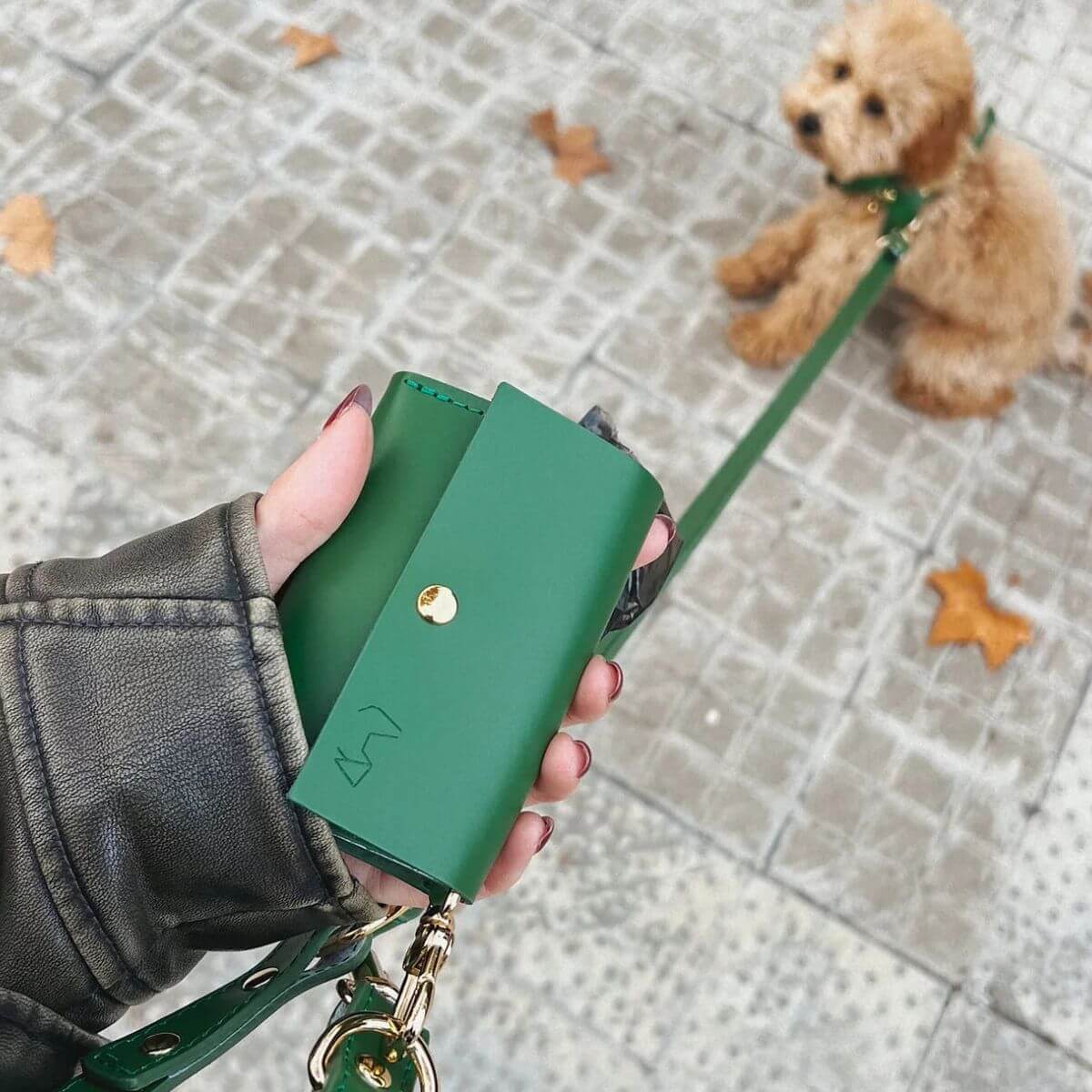 Stylish and practical, this shot shows a Branni Pets green leather poop bag holder clipped to a leash, with a pup waiting nearby. Stilvoll und praktisch – hier ist der grüne Branni Pets Kotbeutelhalter aus Leder an der Leine befestigt, während der Hund brav wartet. Élégant et fonctionnel, ce porte-sacs Branni Pets en cuir vert est accroché à une laisse, avec un chien assis sagement à proximité.