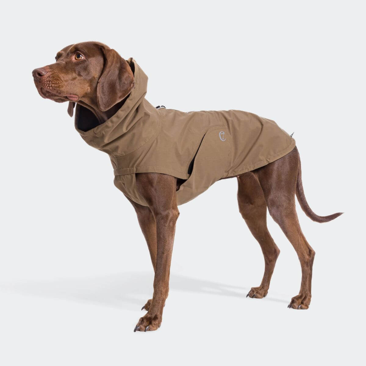 Brown dog wearing a tan Cloud7 dog raincoat with high collar and reflective accents.
Brauner Hund mit beigem Cloud7 Hunderegenmantel mit hohem Kragen und reflektierenden Details.
Chien brun portant un imperméable beige pour chien Cloud7 avec col montant et détails réfléchissants.