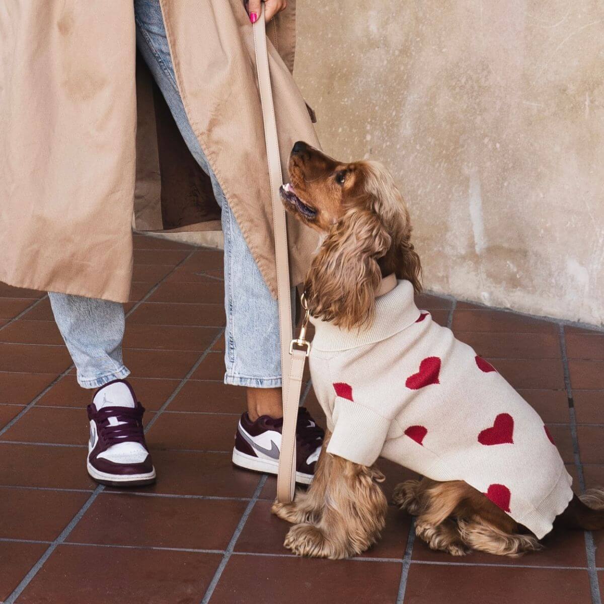 Cocker spaniel wearing heart-print dog sweater by Lou and Co, sitting next to owner in trench coat. Cocker Spaniel im Herzchen-Pullover von Lou and Co, sitzt neben Besitzerin im Trenchcoat. Cocker en pull à cœurs de Lou and Co assis à côté de son humaine en trench.
