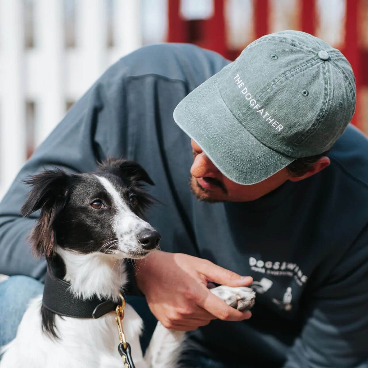 Man wearing a green washed denim "THE DOGFATHER" cap by Collar of Sweden, bonding with his black and white dog – Homme portant une casquette en denim vert délavé "THE DOGFATHER" de Collar of Sweden, partageant un moment complice avec son chien noir et blanc – Mann mit grüner, gewaschener Denim-Kappe „THE DOGFATHER“ von Collar of Sweden, zeigt Zuneigung zu seinem schwarz-weissen Hund.