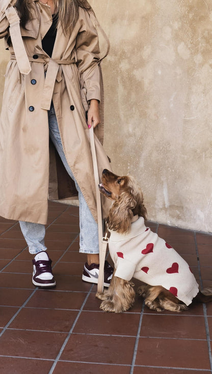 Dog wearing a beige sweater with red hearts next to a human