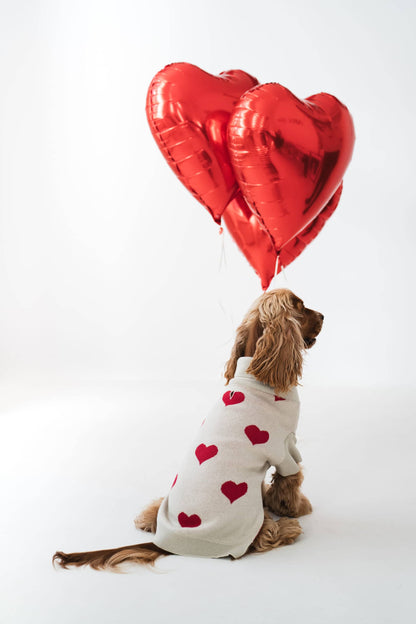 Dog wearing a beige sweater with red hearts sitting next to red heart balloons