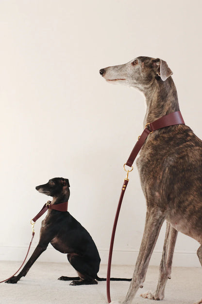 Two dogs wearing the burgundy dog leash made of vegan leather with gold hardware