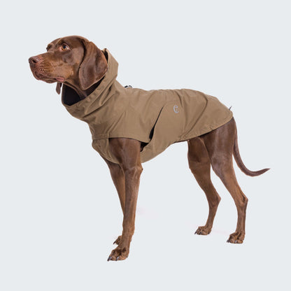 Dog wearing dog raincoat in sienna color