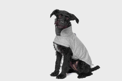 Black dog wearing grey wintercoat for dogs