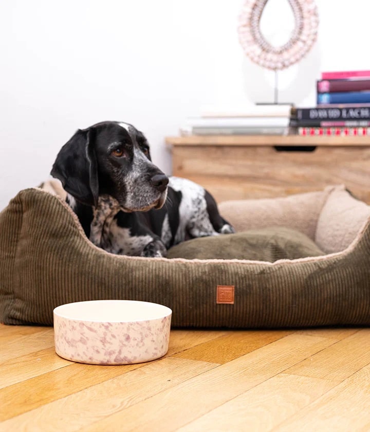 Dog bed in khaki corduroy by PET & Co.