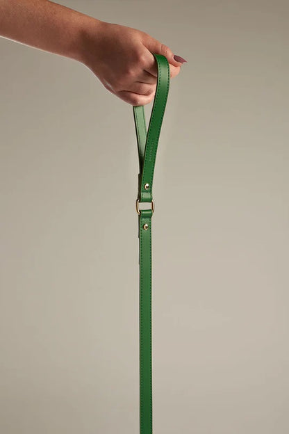 Hand holding the end of a green leather dog leash with gold hardware