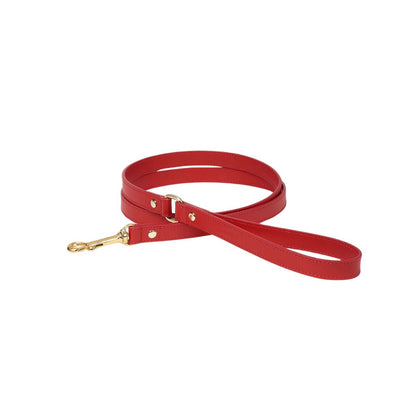 Red leather dog leash with gold hardware