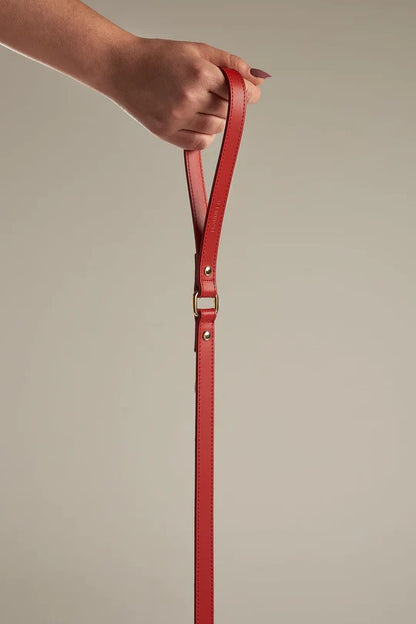 Hand holding the end of a red leather dog leash with gold hardware