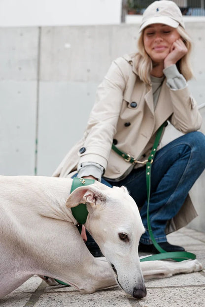 Green leather hands-free dog leash with gold hardware.