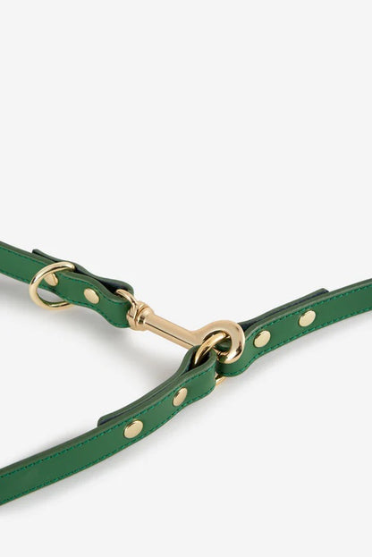 Close up of the gold hardware buckles of a green leather dog leash