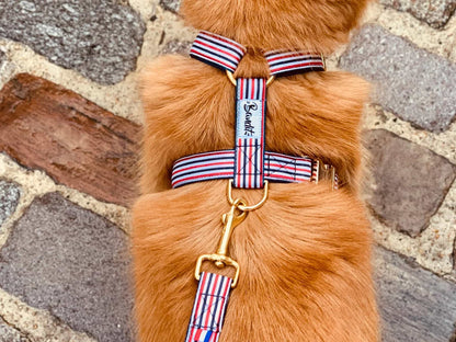 Orange dog wearing red, white and blue striped harness with gold hardware by French Bandit