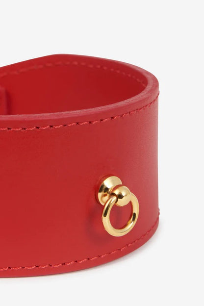 Front details of the wide leather red dog collar with gold hardware