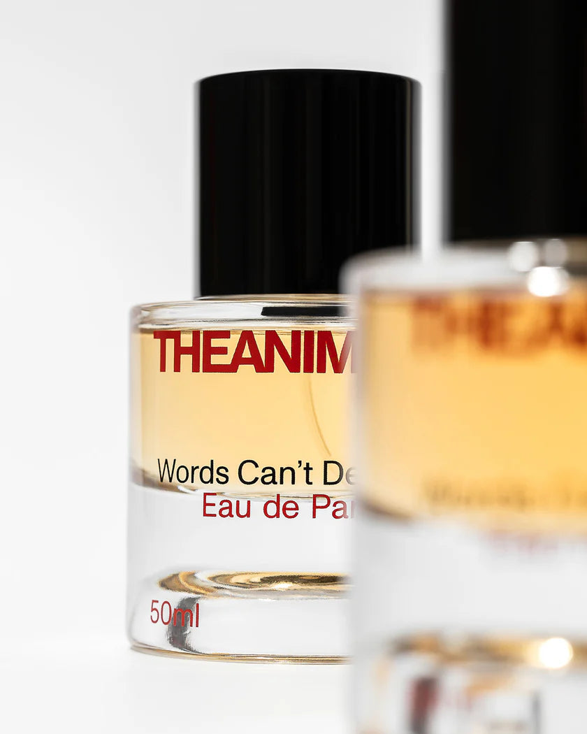 Words Can't Describe Eau de Parfum (50ml), a perfume with bergamot and saffron top notes.