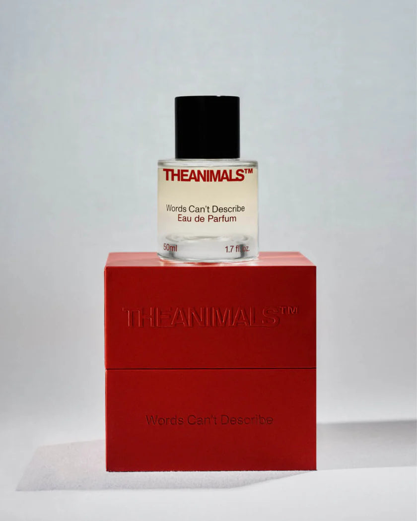 Words Can't Describe Eau de Parfum (50ml), a perfume with bergamot and saffron top notes.