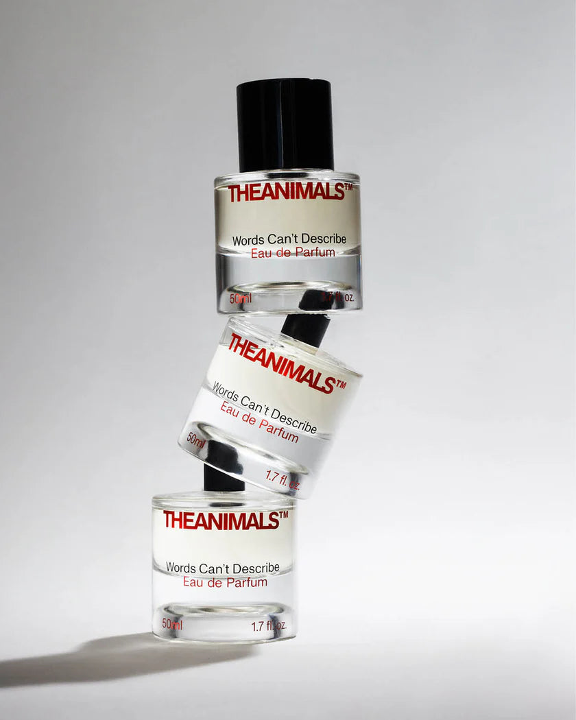 Words Can't Describe Eau de Parfum (50ml), a perfume with bergamot and saffron top notes.