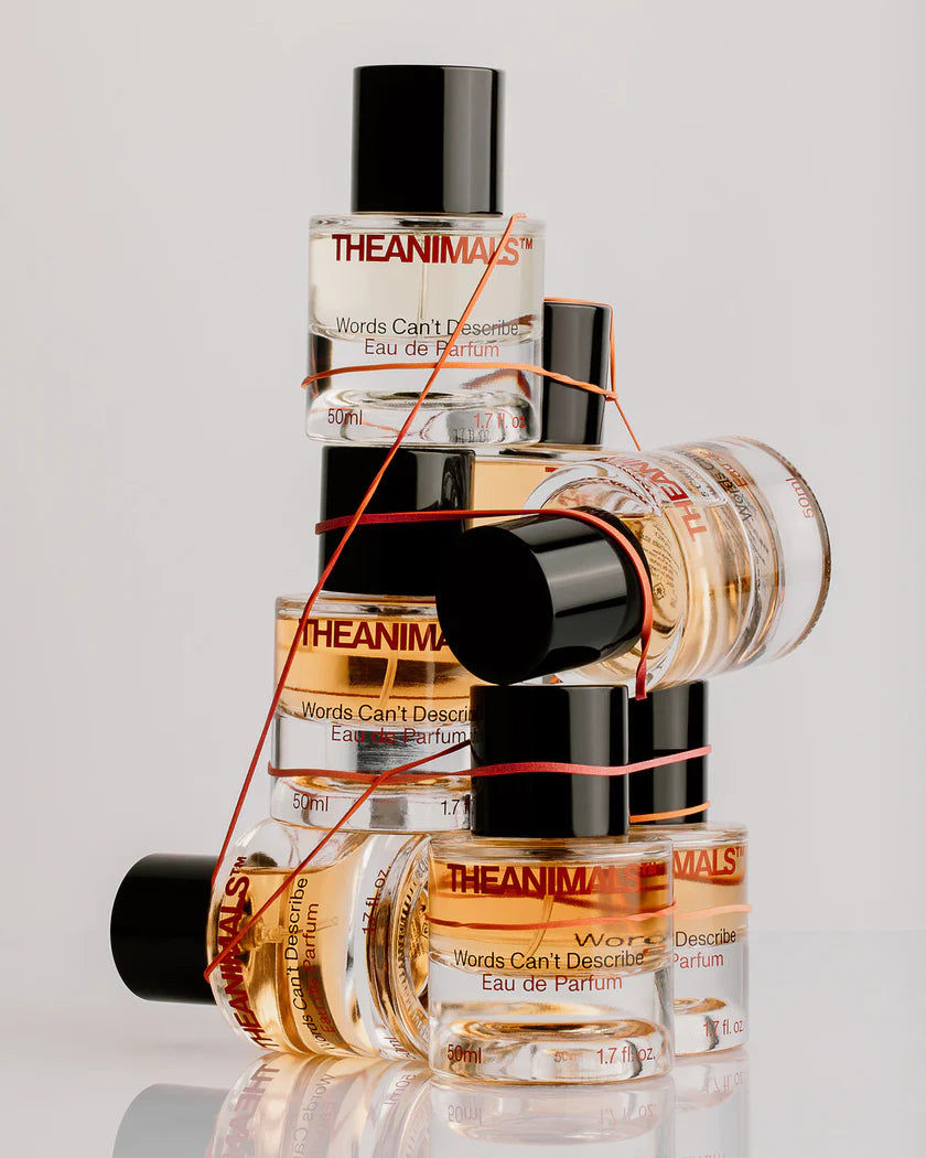 Words Can't Describe Eau de Parfum (50ml), a perfume with bergamot and saffron top notes.