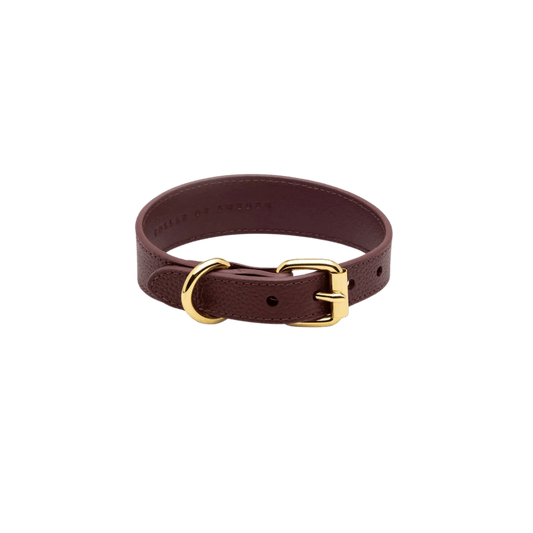 Flat lay of the burgundy vegan leather dog collar with gold hardware by Collar of Sweden – Vue de dessus du collier pour chien en cuir végan couleur bordeaux avec boucle dorée, signé Collar of Sweden – Draufsicht des Hundehalsbands aus burgunderrotem veganem Leder mit goldener Schnalle von Collar of Sweden.