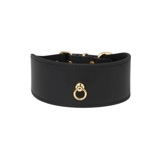 Isolated Branni Pets black leather dog collar with gold ring, specially designed for Greyhounds or dogs with delicate necks. Isoliertes schwarzes Lederhalsband von Branni Pets mit goldenem Ring – entwickelt für Windhunde oder Hunde mit empfindlichem Hals. Collier Branni Pets en cuir noir avec anneau doré, conçu pour les lévriers ou les chiens au cou sensible.
