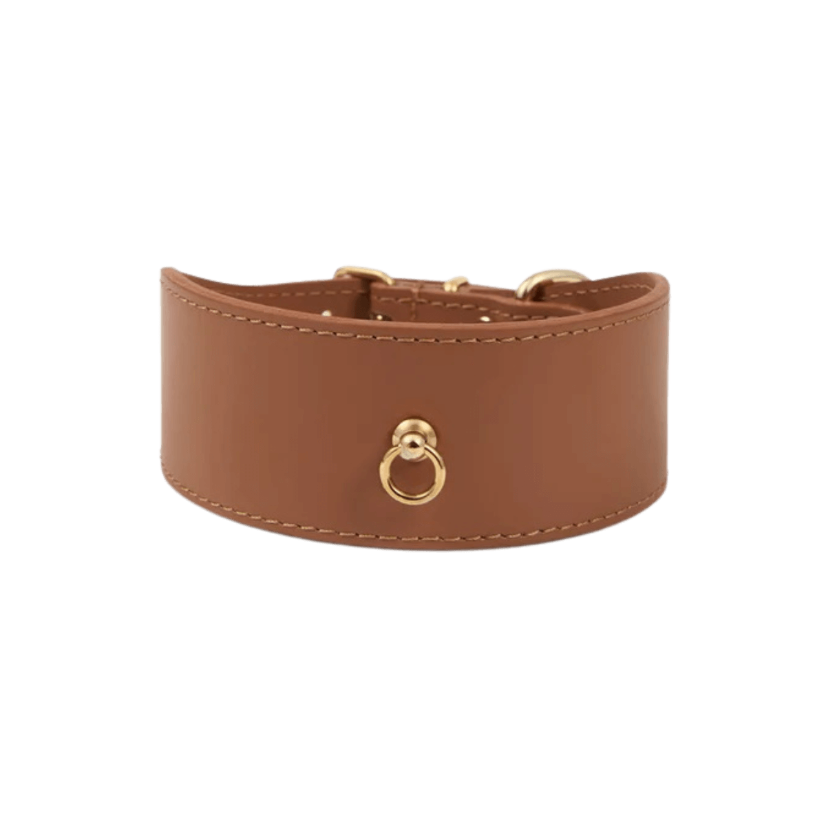 A wide tan leather dog collar with gold hardware from Branni Pets, photographed on a white background.
Ein breites Hundehalsband aus cognacfarbenem Leder mit goldener Beschlägen von Branni Pets, auf weißem Hintergrund fotografiert.
Un collier large en cuir camel pour chien avec des finitions dorées de Branni Pets, photographié sur fond blanc.