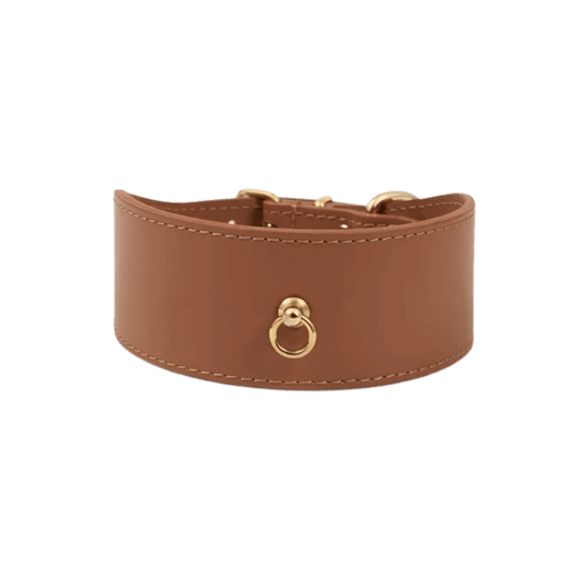 A wide tan leather dog collar with gold hardware from Branni Pets, photographed on a white background.
Ein breites Hundehalsband aus cognacfarbenem Leder mit goldener Beschlägen von Branni Pets, auf weißem Hintergrund fotografiert.
Un collier large en cuir camel pour chien avec des finitions dorées de Branni Pets, photographié sur fond blanc.