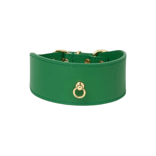Studio cut-out of green Branni Pets leather dog collar with gold ring, stylish and protective for sighthounds – Freigestelltes Bild des grünen Branni Pets Halsbands mit goldenem Ring, elegant und schützend für Windhunde – Collier vert Branni Pets en packshot avec anneau doré, élégant et protecteur pour les lévriers.
