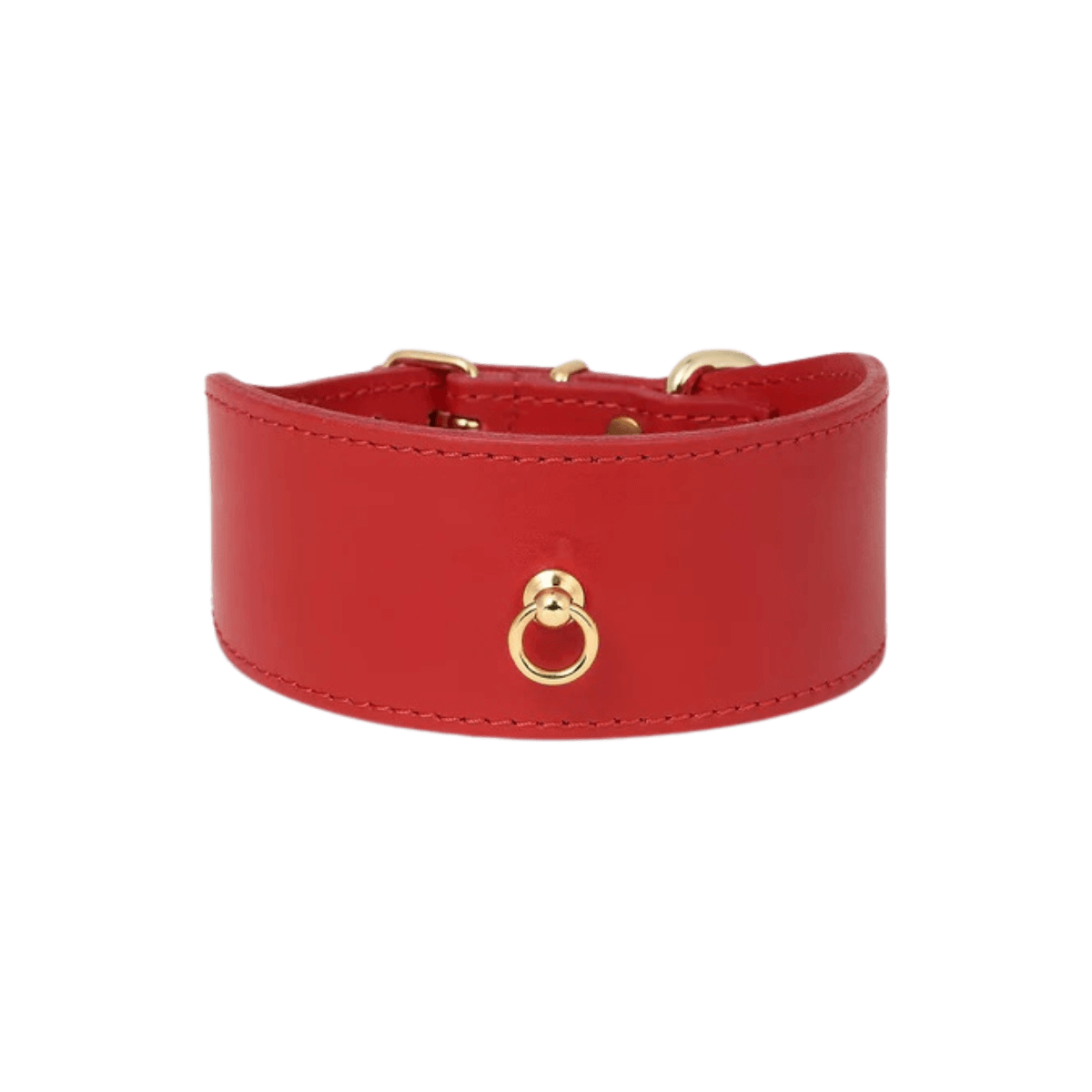 Front-facing product image of the red Branni Pets greyhound collar with gold ring – wide and soft for dogs with delicate necks. Produktfoto des roten Branni Pets Windhunde-Halsbands mit Goldring – breit und weich für empfindliche Hundehälse. Image produit du collier rouge Branni Pets pour lévriers avec anneau doré – large et doux pour les cous sensibles.